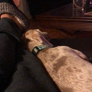 Meet your Posher, Karina